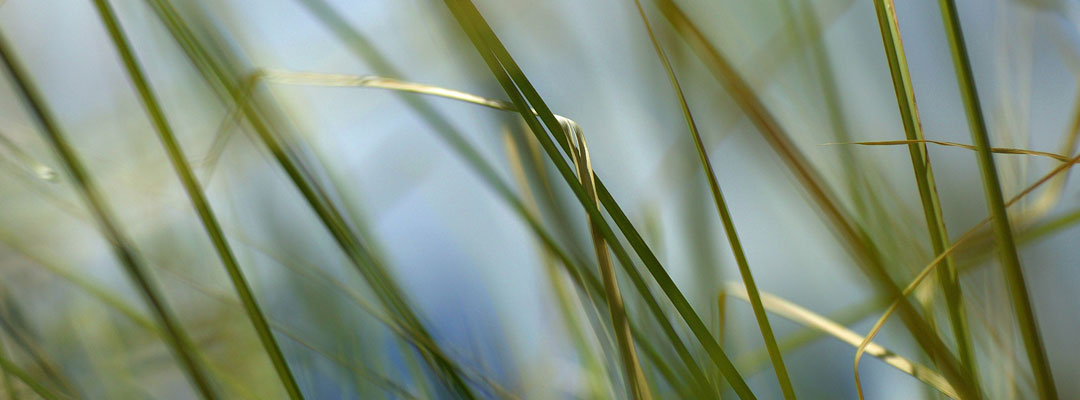 1080x400_inspiration04
