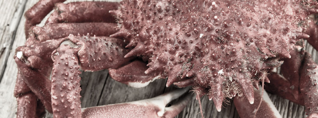 1080x400_inspiration05